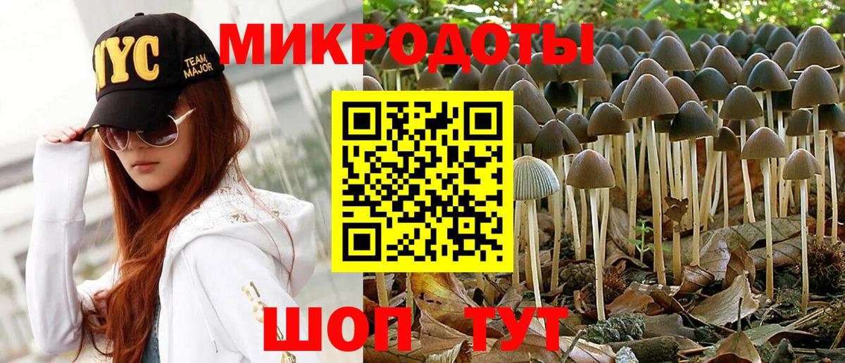 Галлюциногенные грибы Psilocybine cubensis  Вход с VPN  Псилоцибиновые грибы Psilocybine cubensis  Новодвинск 